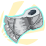 Woodsmans Axe Head icon